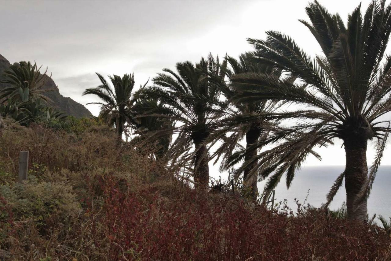 Oasis Atlantico: Rincon Secreto Al Pie De Los Senderos Azano Екстериор снимка